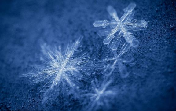 速冻包子速冻技术,速冻包子的技术和配方