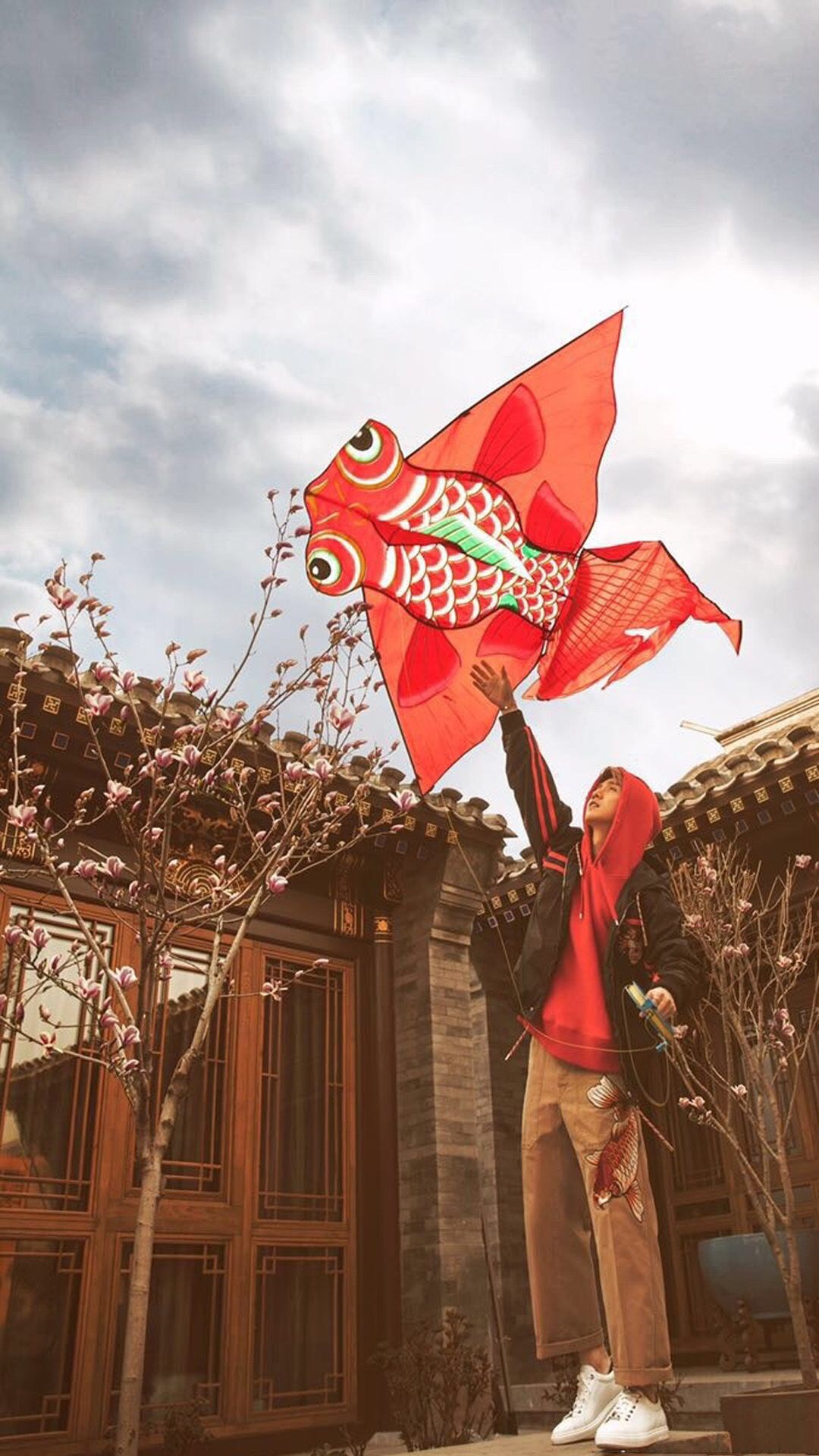 鹿晗高清手机壁纸大图,鹿晗高清壁纸2017卡通