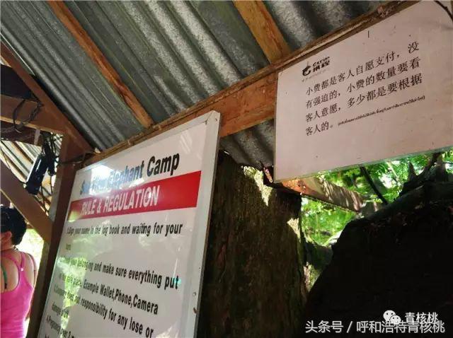 刷我滴卡泰国话,刷我滴卡泰国原版