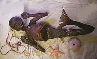 真实灵异事件揭秘水鬼亲历者讲述水猴子害人