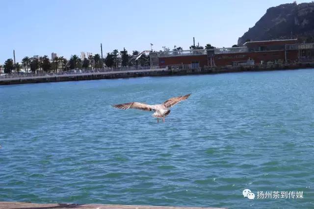 “西游记”国庆中秋特辑，扛着国货单反镜头在欧洲“扫街”测评