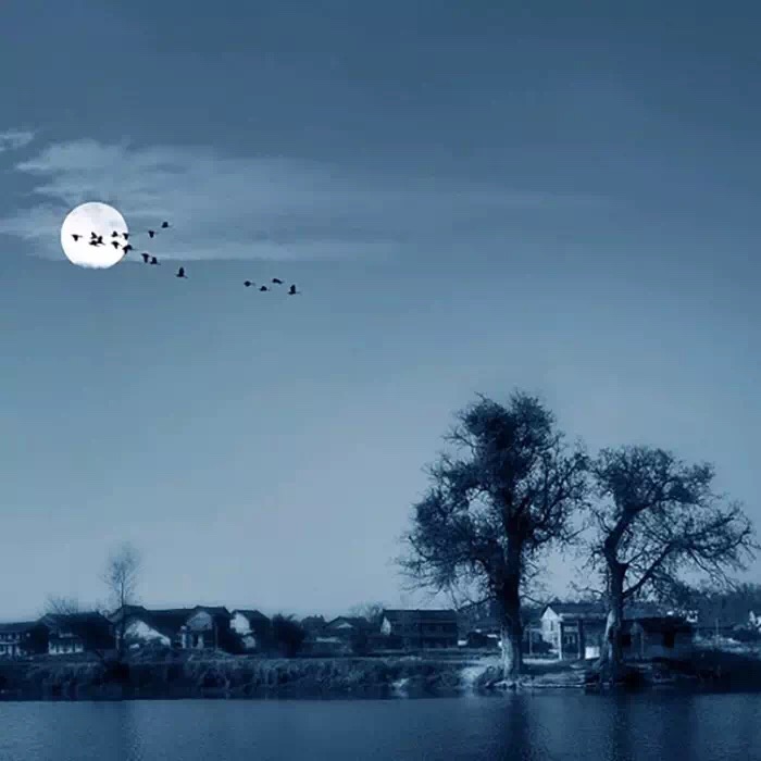 月是故乡圆短剧,月是故乡圆完整版