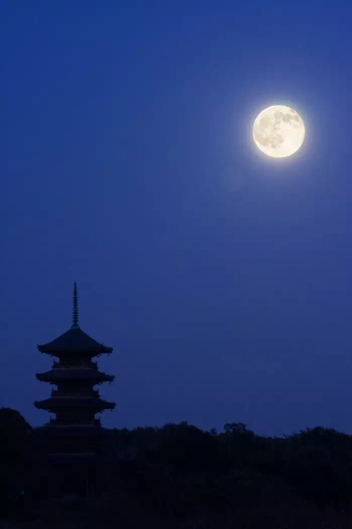 月是故乡圆短剧,月是故乡圆完整版