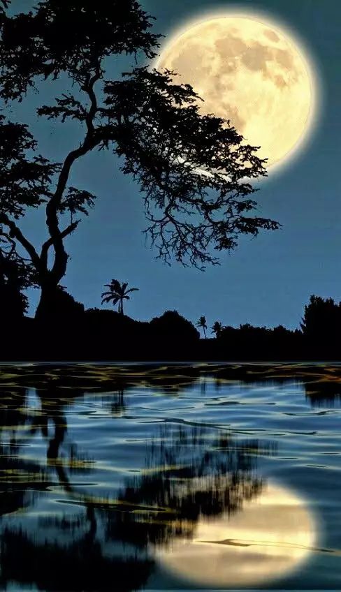 中秋节来历和习俗附中秋诗词,中秋节邂逅最美的中秋诗词