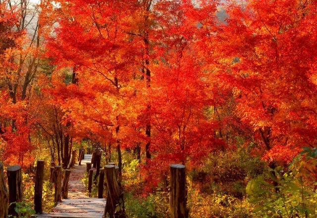 最好的我们免费看,最好的我们看剧