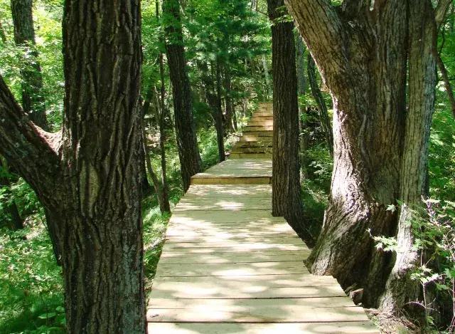 最好的我们免费看,最好的我们看剧