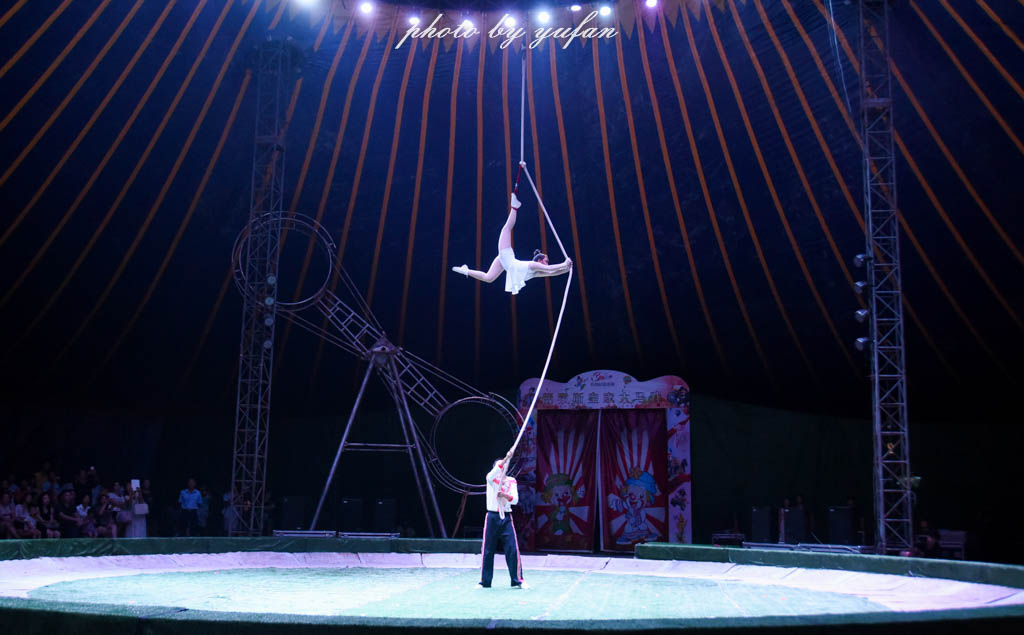 皇家大马戏巴伐利亚,广东哪里有大马戏