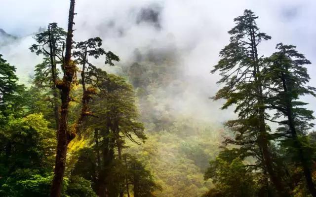 云南最美公路自驾出行攻略,自驾去云南沿途的风景美不胜收