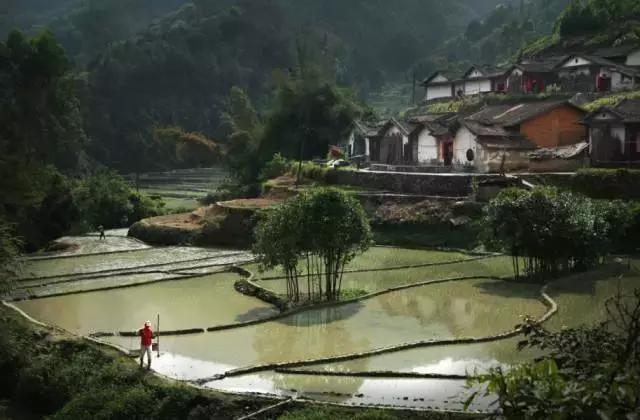 肇庆短途自驾游好去处,肇庆自驾游玩攻略