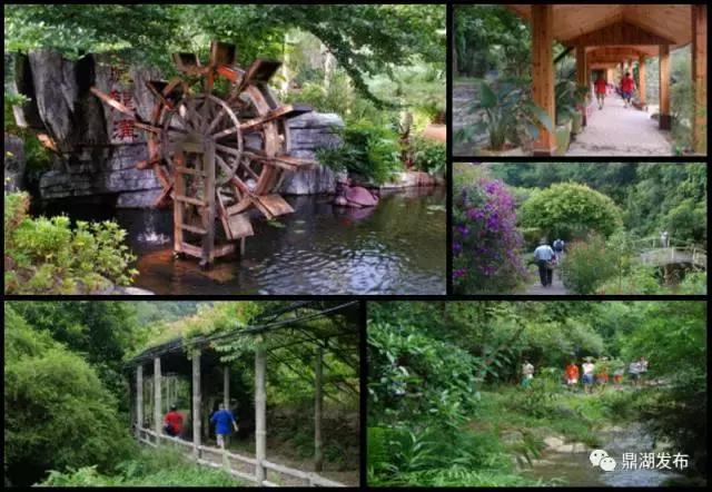 肇庆短途自驾游好去处,肇庆自驾游玩攻略