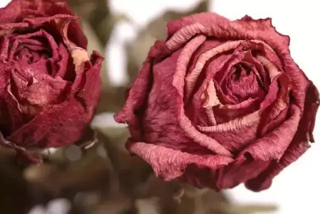 皮肤偏黑适合什么颜色口红显白,卡姿兰口红哪个色号显白显年轻