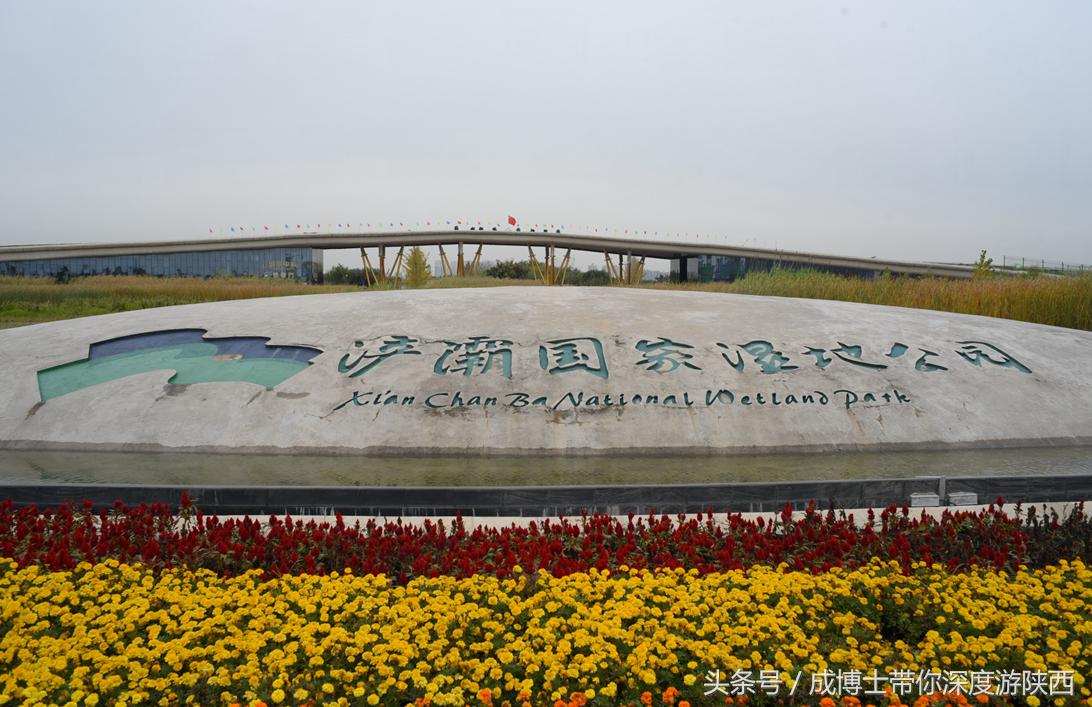 西安有银杏树旅游景区,西安旅游排名前十的景区有哪些