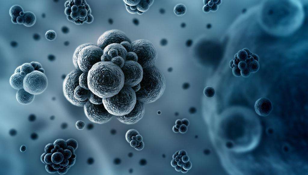 最近怎么这么多宝宝感冒发烧,5月龄宝宝感冒发烧怎么处理