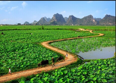 我的家长粤语,我的家长完整版