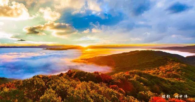 最好的我们免费看,最好的我们看剧