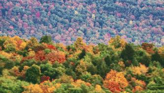 最好的我们免费看,最好的我们看剧