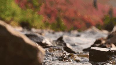 最好的我们免费看,最好的我们看剧