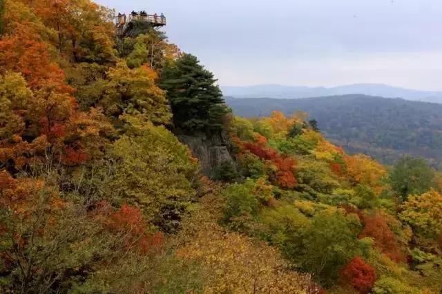 最好的我们免费看,最好的我们看剧