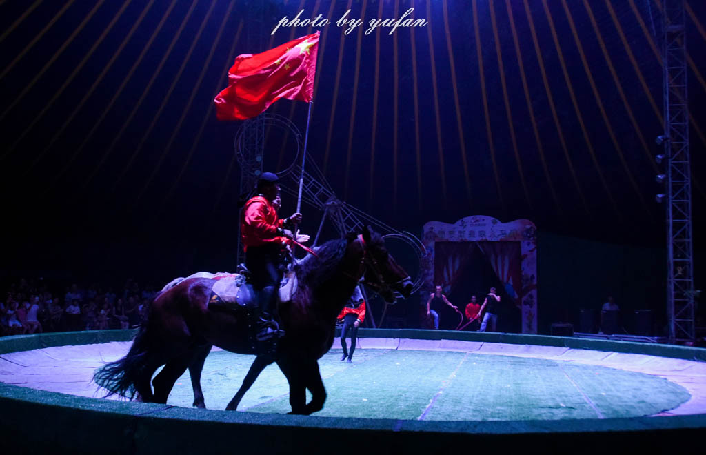 皇家大马戏巴伐利亚,广东哪里有大马戏