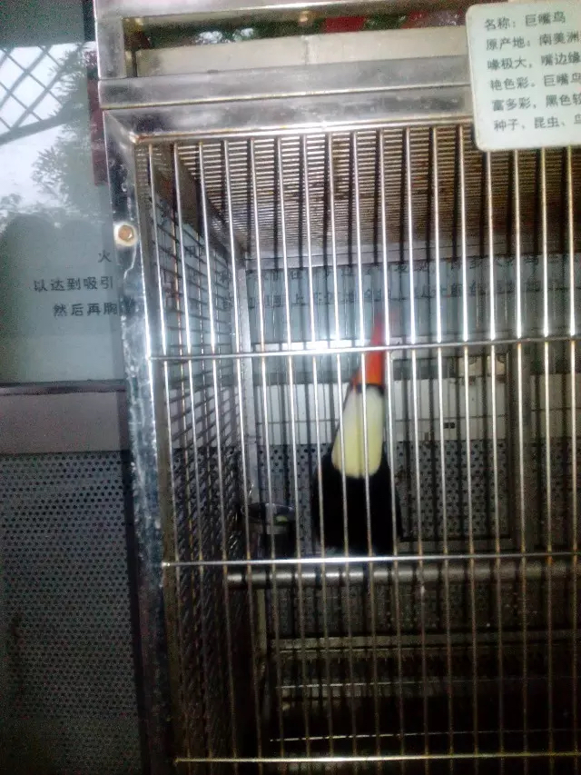 华侨城最好玩的项目,华侨城有哪些值得玩的地方