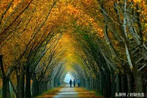 唉,南阳人表示这个国庆真的很蛋疼