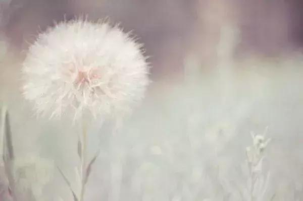 个性签名遇见懂我的人,冷静一段时间的个性签名