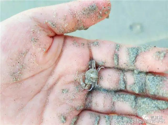 刷我滴卡泰国话,刷我滴卡泰国原版