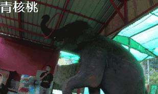 刷我滴卡泰国话,刷我滴卡泰国原版