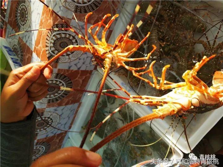 刷我滴卡泰国话,刷我滴卡泰国原版