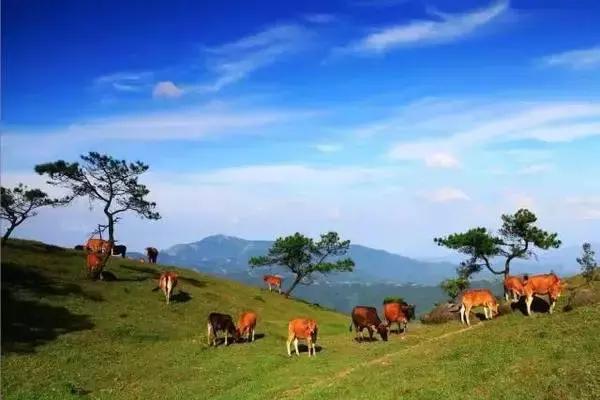肇庆短途自驾游好去处,肇庆自驾游玩攻略