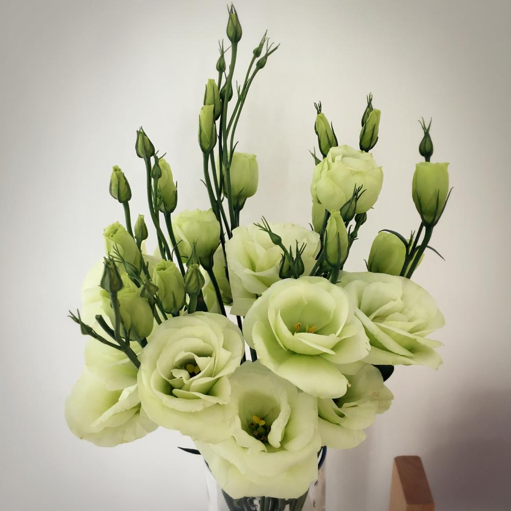 请媒人说媒成功后要给多少钱,农村媒人说媒一般要给多少钱