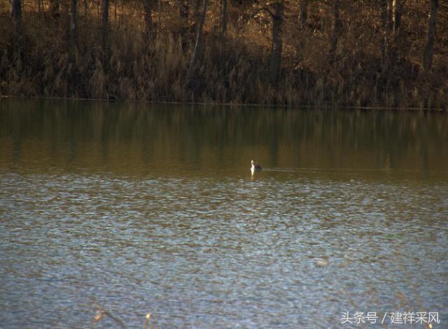 内蒙古多伦县姑娘湖,多伦县姑娘湖传说