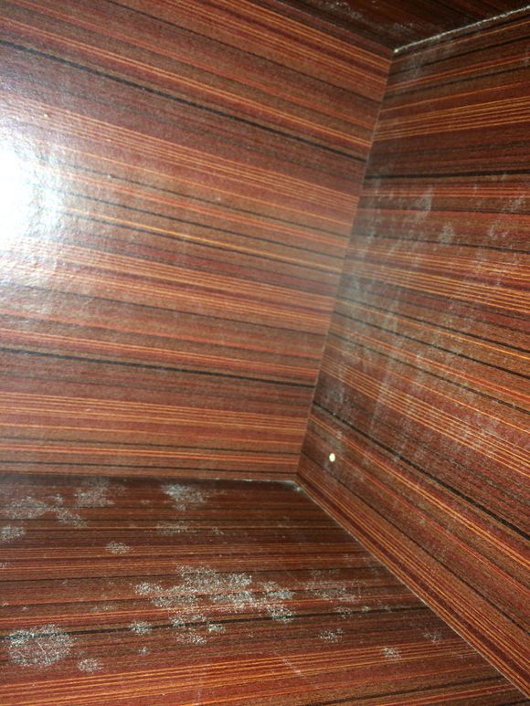 房屋浸水发霉怎么处理,墙壁返潮发霉和漏水发霉怎么区分