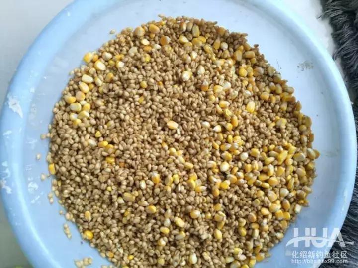 飞鲨*力暴**搞起最大32斤大青