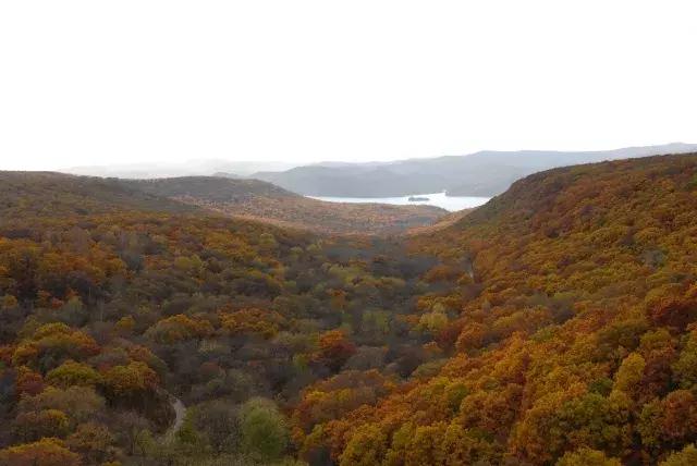 最好的我们免费看,最好的我们看剧