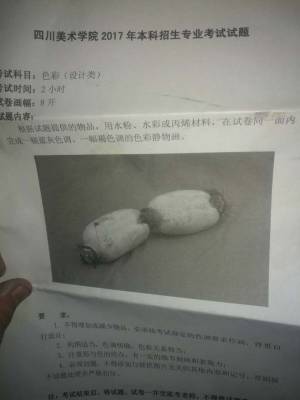 最近四川美术学院招生简章,四川美术学院招生政策