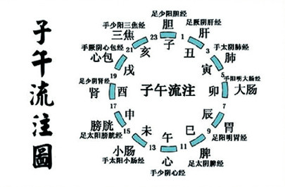 诺贝尔医学奖颁给生物钟新发现,我国古人两千年前就用其治病了