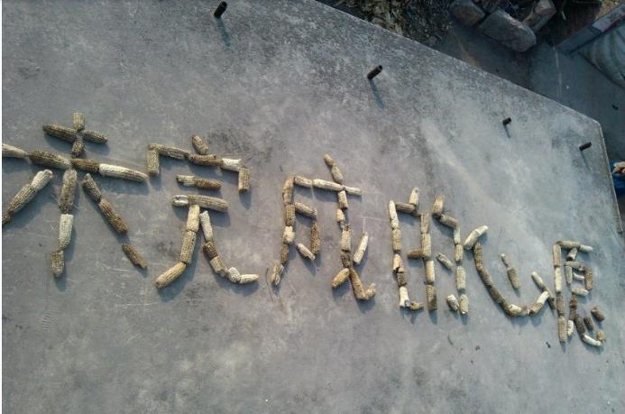 罗清军心理,罗清军是什么样的人