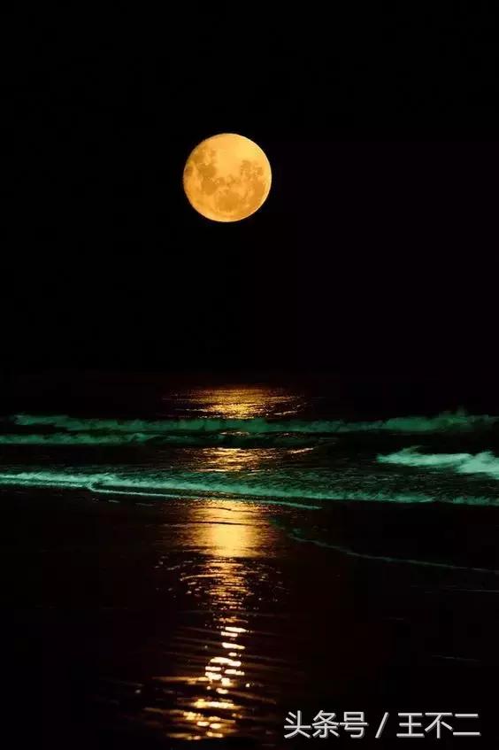 脑洞很大的想法有哪些,脑洞有多大1-10关