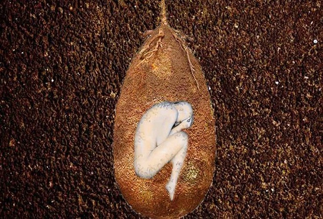 南极发现的人形神秘生物,考古专家真的发现卵生蛋吗