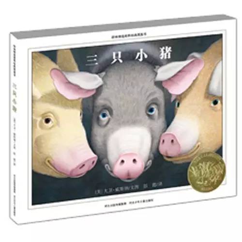 适合孩子看的书0到3岁绘本,绘本3-6岁经典绘本故事书单第一名