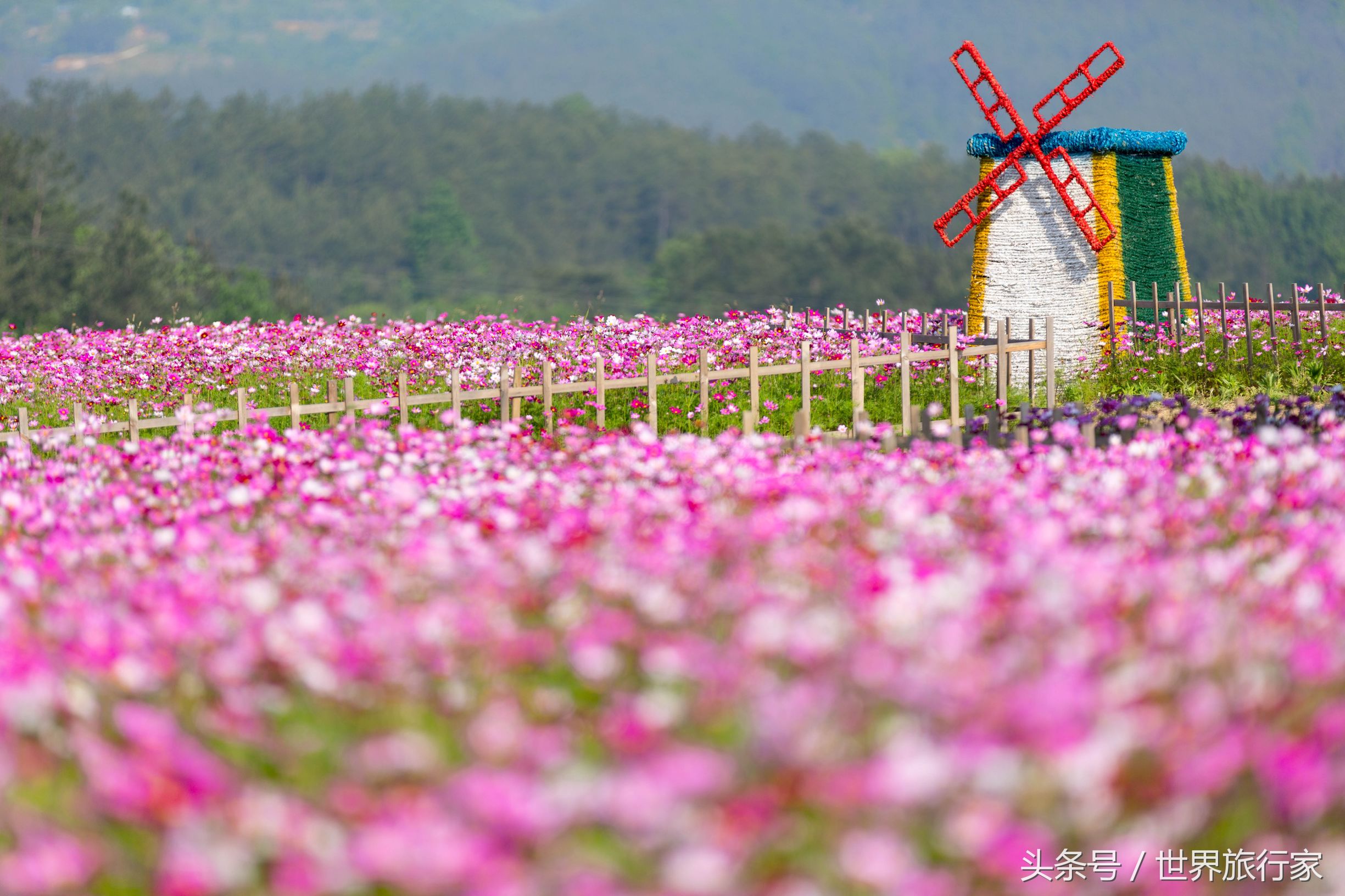 罗田三里畈温泉春节,罗田三里畈温泉和汤池温泉哪个好