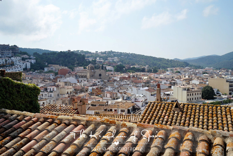 欧洲自由行如何办理申根签证,申根签欧洲旅游签证要多久下来