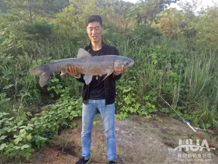 飞鲨*力暴**搞起最大32斤大青