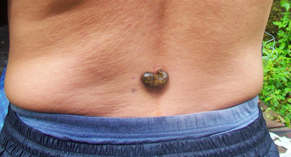 藏西线,最可怕的藏毒视频