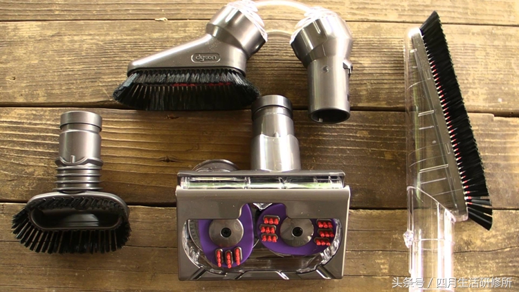 家有毛孩子日常,家有毛孩子的陪伴不孤单