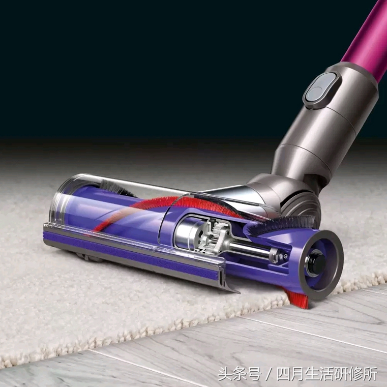 家有毛孩子日常,家有毛孩子的陪伴不孤单