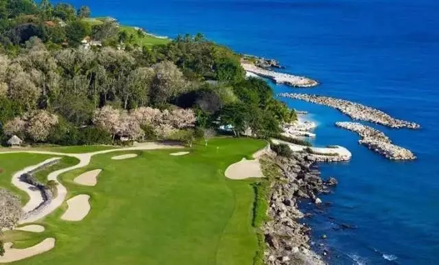 有美签可以去哪里,有了美签其他国家都免签吗