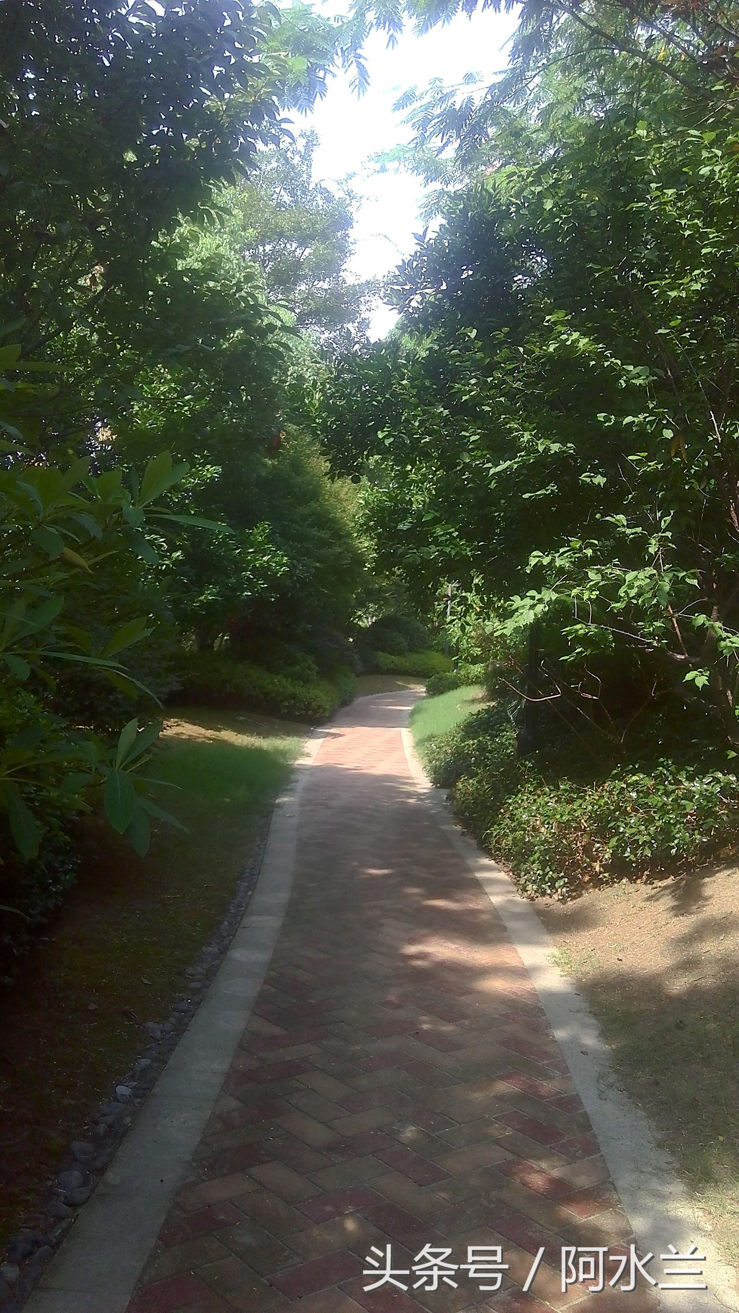 婚后老公拒绝上交工资怎么办,婚后老公有工资交给你管吗