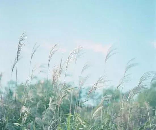 个性签名遇见懂我的人,冷静一段时间的个性签名